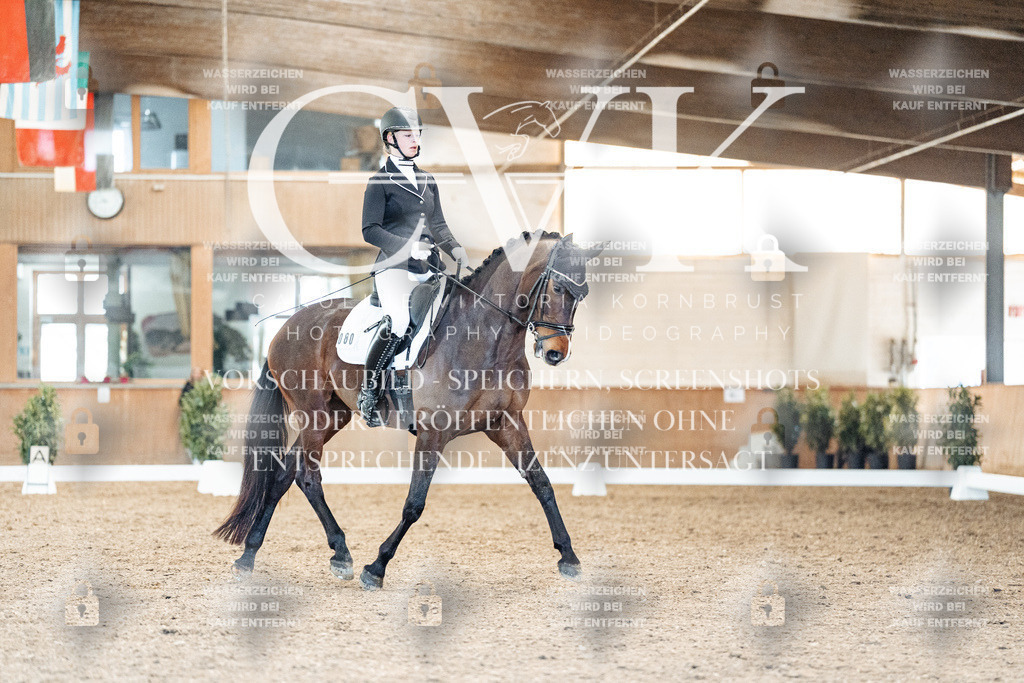 CK908778 | Turnierfotografie Pferdefotografie Trier Rheinland-Pfalz Pferdesport Reitsport Tierfotografie Sportfotografie Pferdevideo Pferdevideografie Equestrianvideography equestrianphotography  - Realisiert mit Pictrs.com