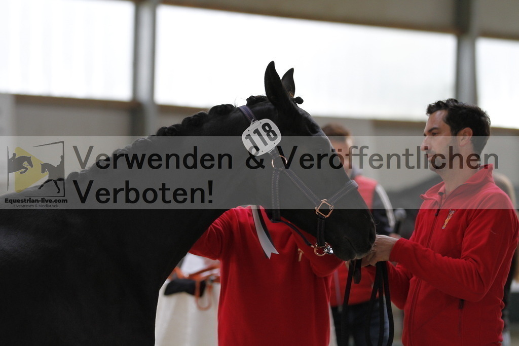 _MG_9993 | equestrian-live-com