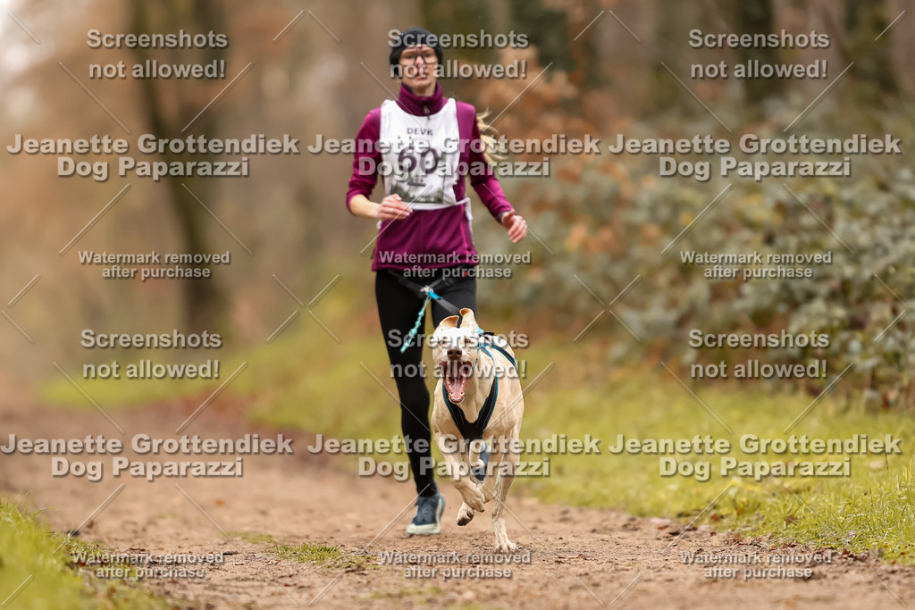 Dog Paparazzi - Speedhunter Mannheim  2025-176 | Dog Paparazzi Jeanette Grottendiek Fotografie & Videografie