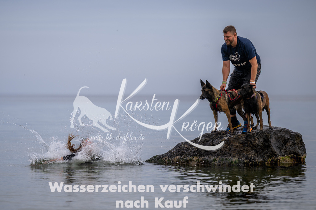 1223_ZZ91467 | kk-dogfotos