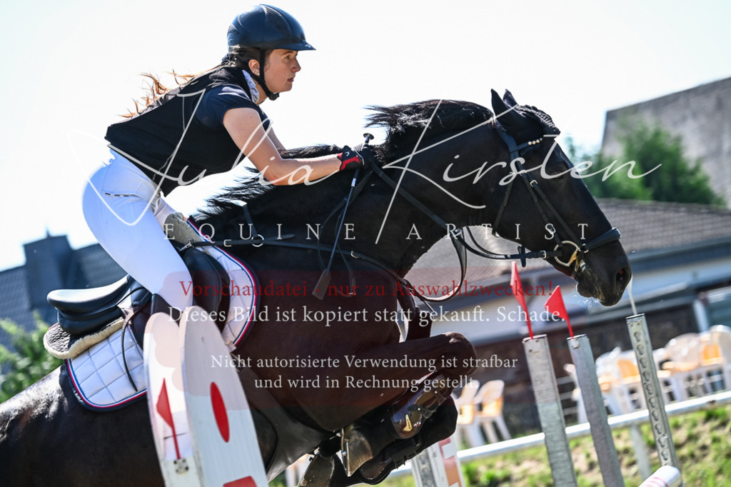 DSC_1339 | Pferde- und Turnierfotografie in Westsachsen. Pferdeportraits, Auftragszeichnungen und intuitive Kunst.