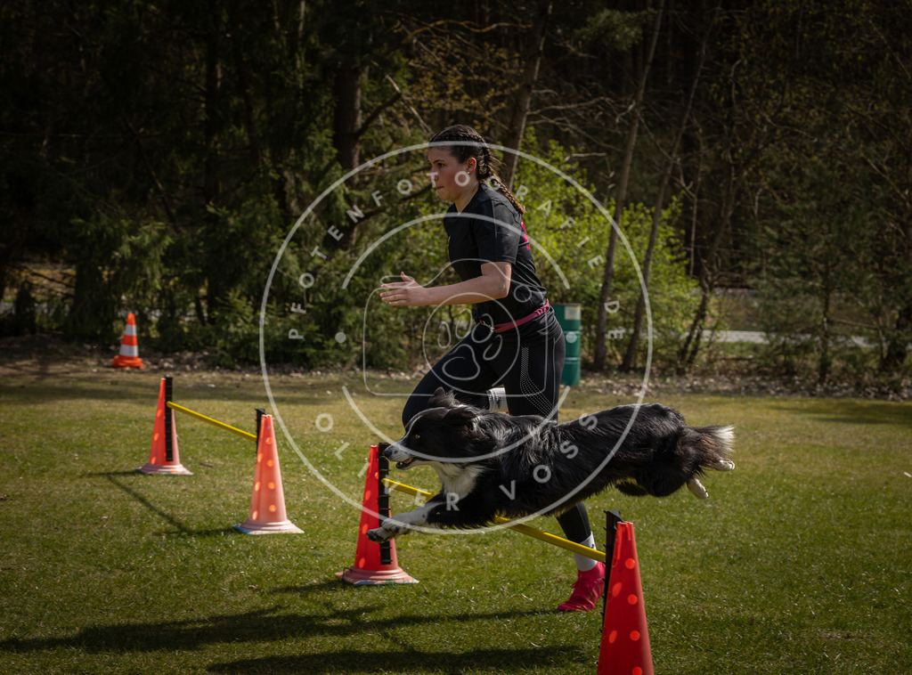 Pfotenfotografie_DV3A4062 | Hundefotografie, Tierfotograf, Pfotenfotografie, Fotoshooting Hund, Hunde Portrait, Hundesport, Hundeportraits, Heideshooting, Hunde, Sportfotograf, Hundefotograf, Turnierhundsport, THS,  - Realisiert mit Pictrs.com
