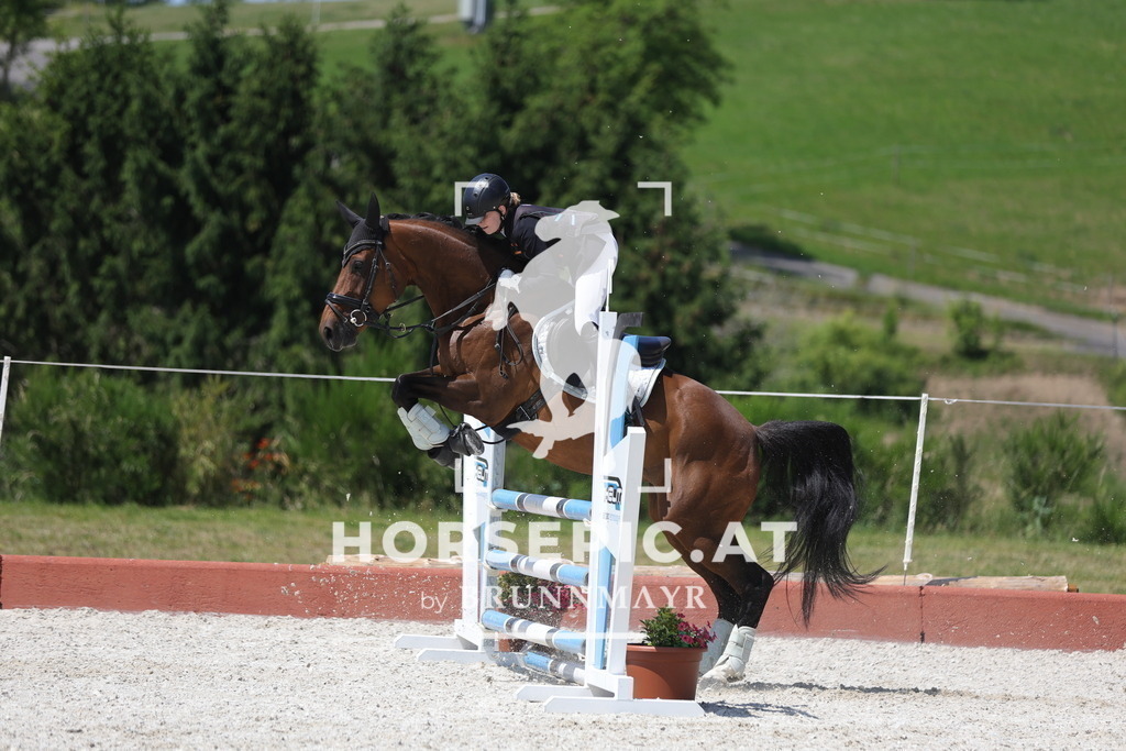 0P6A8598 | Willkommen bei Brunnmayr - Design & Fotografie – Ihrem Spezialisten für Reitturniere und Pferdeveranstaltungen in Oberösterreich, Salzburg und Bayern! Seit über 17 Jahren sind wir leidenschaftlich dabei.