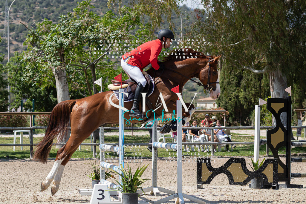 IMG_0584 | s-jay-photography - Realisiert mit Pictrs.com