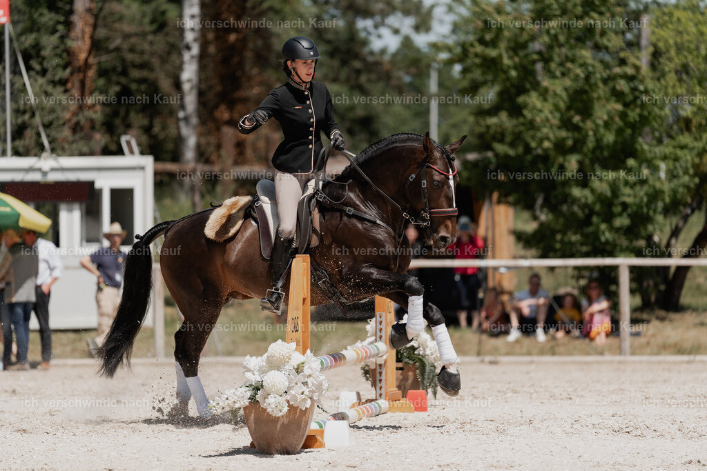 WE_SP_Stoib_330_PI2025_1978 | Pferd International München 2025