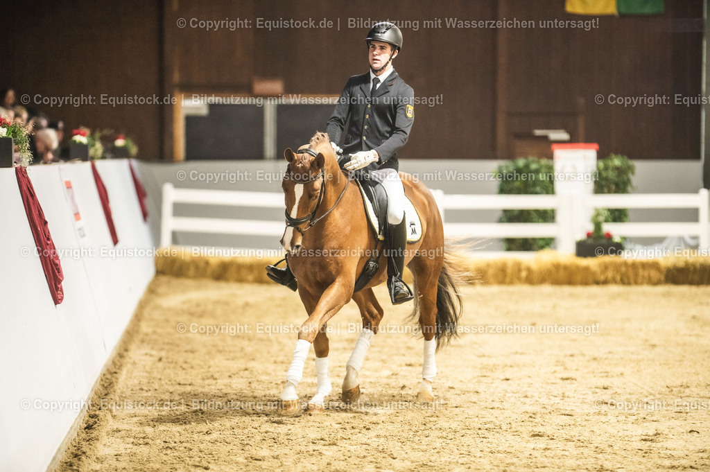 20240302_Hengstvorstellung_Marbach_TOMsPiC_0351 | equistock