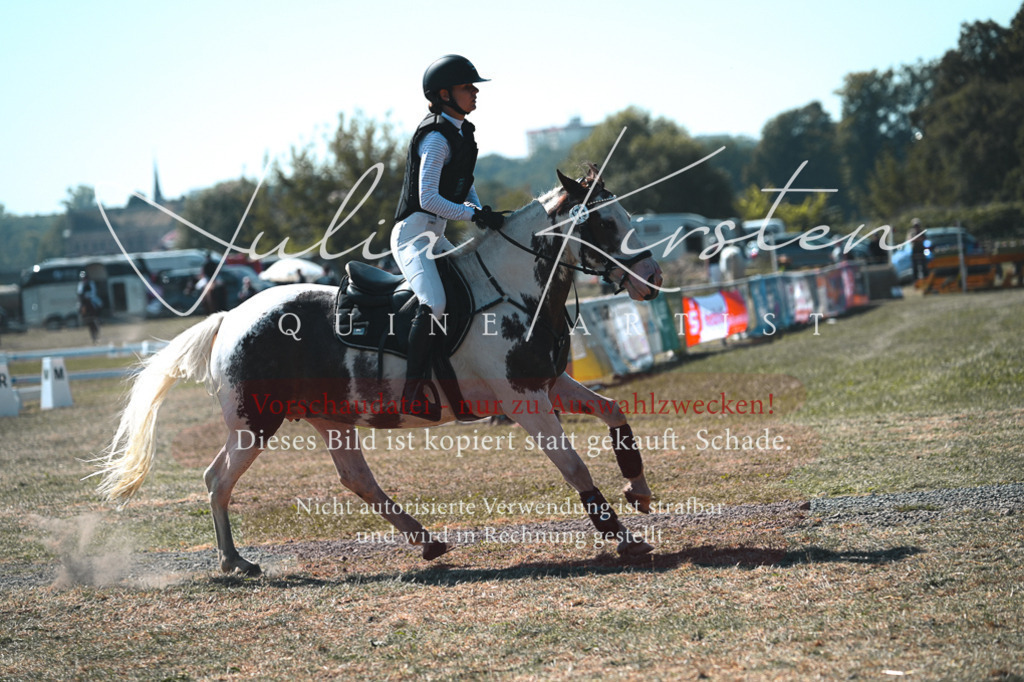 DSC_8096-2 | Pferde- und Turnierfotografie in Westsachsen. Pferdeportraits, Auftragszeichnungen und intuitive Kunst.