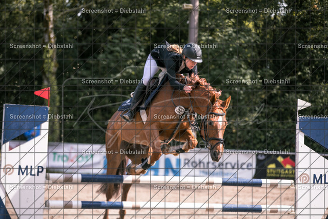 _W6A6600 | ronjaprokoschfotografie - Realisiert mit Pictrs.com