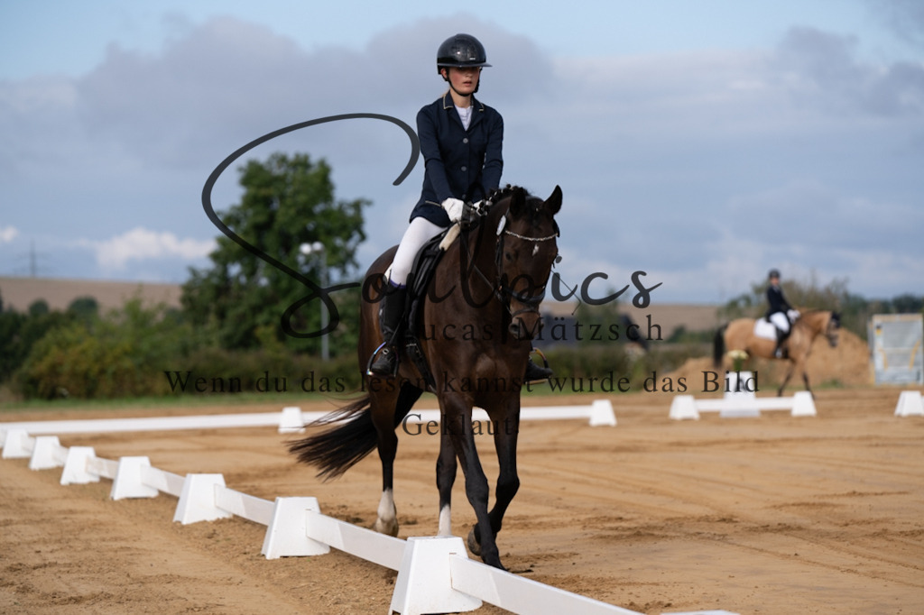 A7V05083 | Pferdefotograf