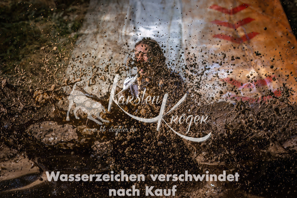 1352_ZZ93072 | kk-dogfotos