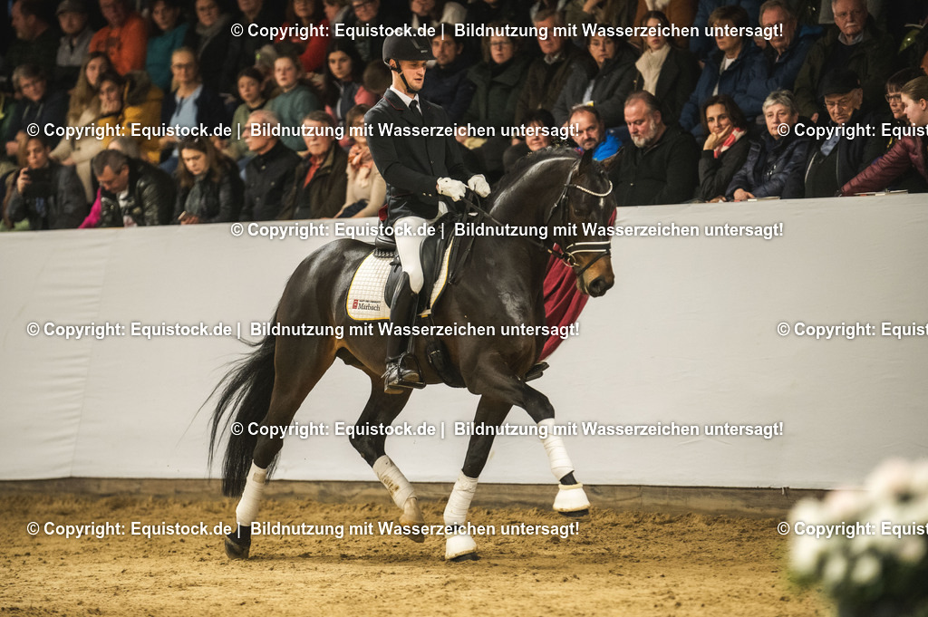 20240302_Hengstvorstellung_Marbach_TOMsPiC_0430-2 | equistock