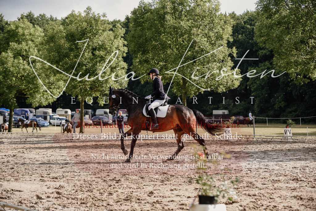 DSC_8765 | Pferde- und Turnierfotografie in Westsachsen. Pferdeportraits, Auftragszeichnungen und intuitive Kunst.
