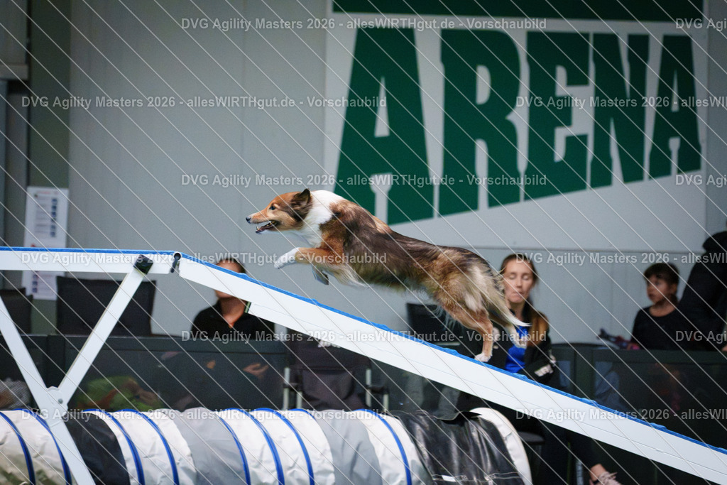 allesWIRTHgut_Tierfotografie-DVG_Agility_Masters_2026-14_19-7R504430 | Professionelle Tierfotografie in Mönchengladbach von Daniel Wirth (allesWIRTHgut). Liebevolle & natürliche Bilder von Hunden & Katzen für unvergessliche Erinnerungen.