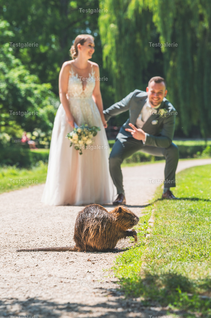 Hochzeit Schröder 313 von 336 | Professionelle Auftragsfotografie im Raum Celle & Umgebung. Hochzeiten, Geburtstage, Taufen Veranstaltungen, Websitefotos & mehr. Terminvereinbarungen unter +49 (0)1608554479
