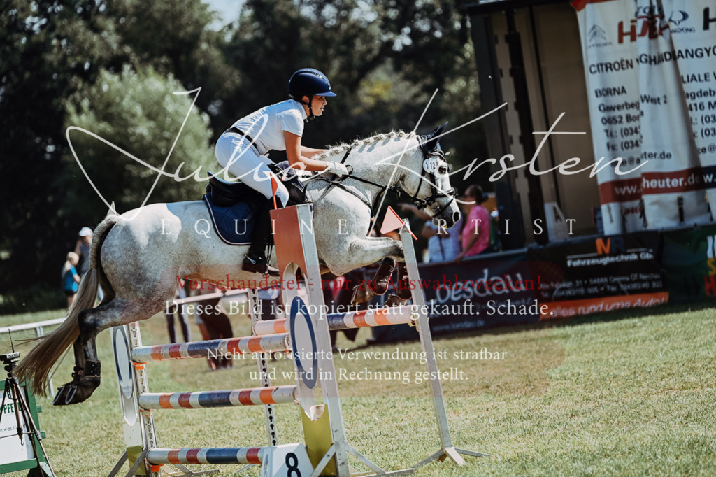DSC_6127 | Pferde- und Turnierfotografie in Westsachsen. Pferdeportraits, Auftragszeichnungen und intuitive Kunst.