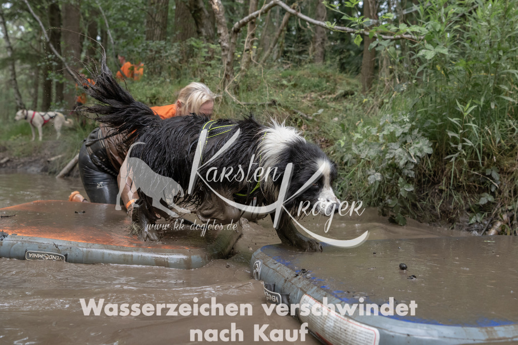 1342_ZZ95491 | kk-dogfotos