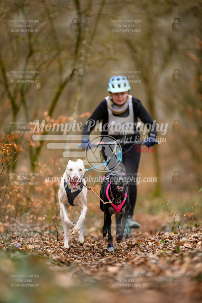 MompixPhotography_ReiatRennen2024_SO_DS2-9 | PayLife