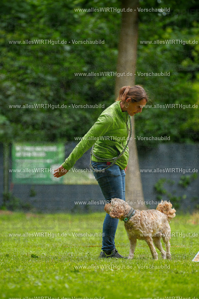 @allesWIRTHgut_Tierfotografie - www.allesWIRTHgut.de - 092243-7R507004 | Professionelle Tierfotografie in Mönchengladbach von Daniel Wirth (allesWIRTHgut). Liebevolle & natürliche Bilder von Hunden & Katzen für unvergessliche Erinnerungen.