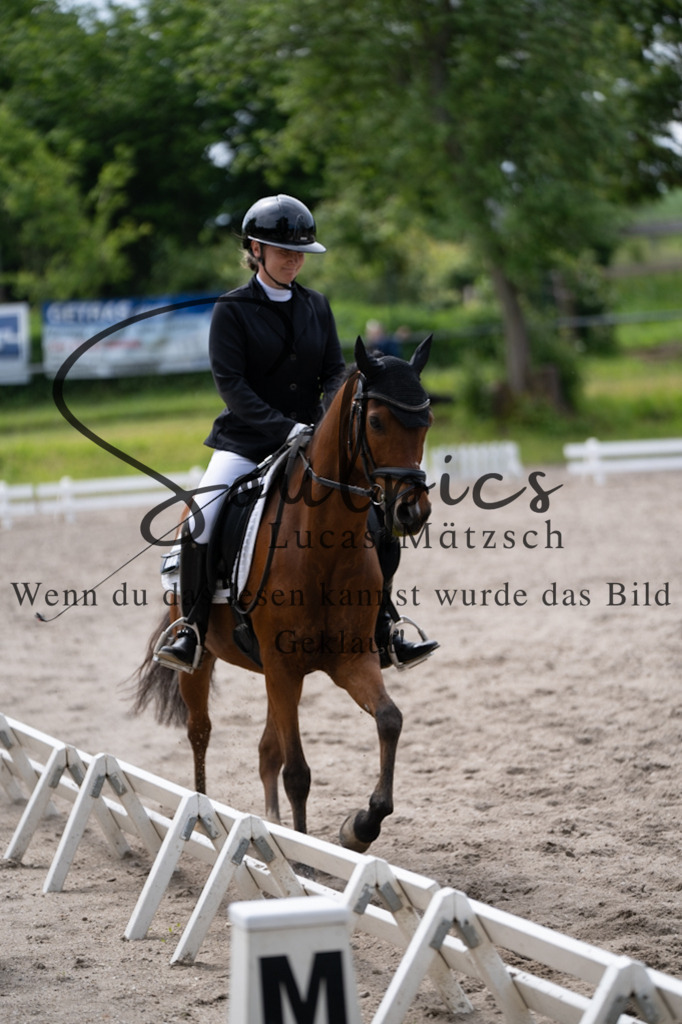 A7V02773 | Pferdefotograf