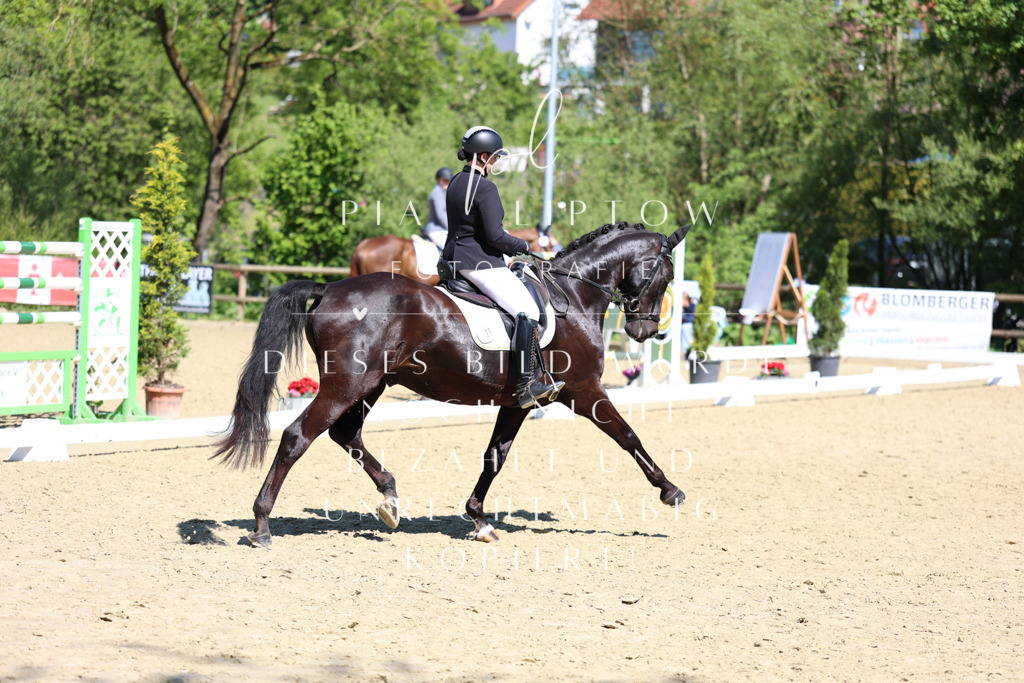 IMGS0838 | pl-fotografie