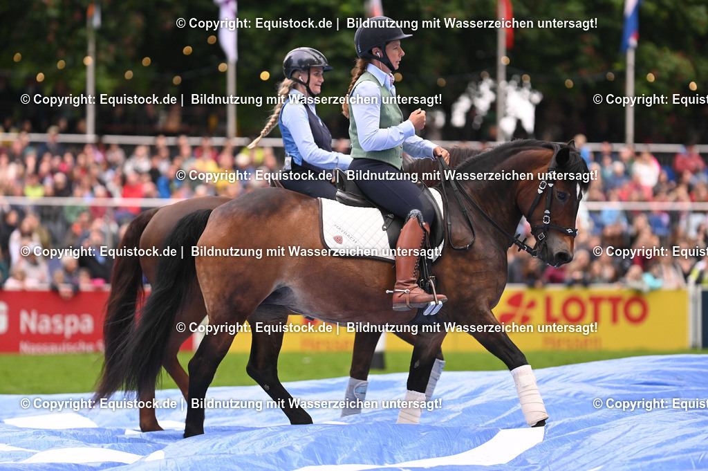 20240517_Lange-Pferdenacht_0266 | Foto: Thomas Hartig