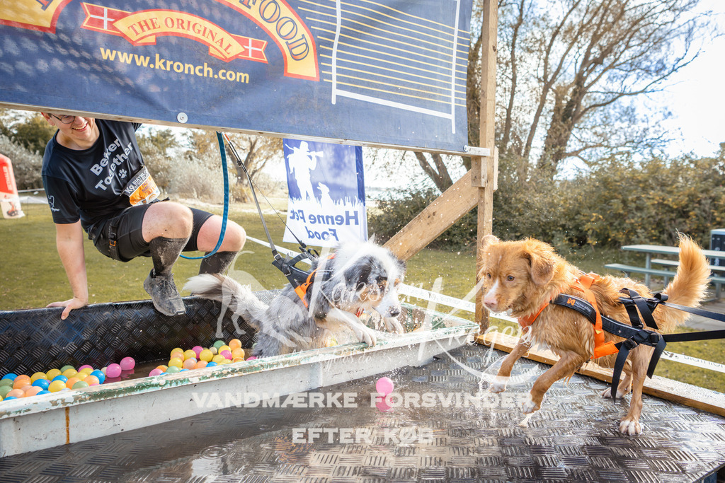 1420_ZZ94355-2 | kk-dogfotos