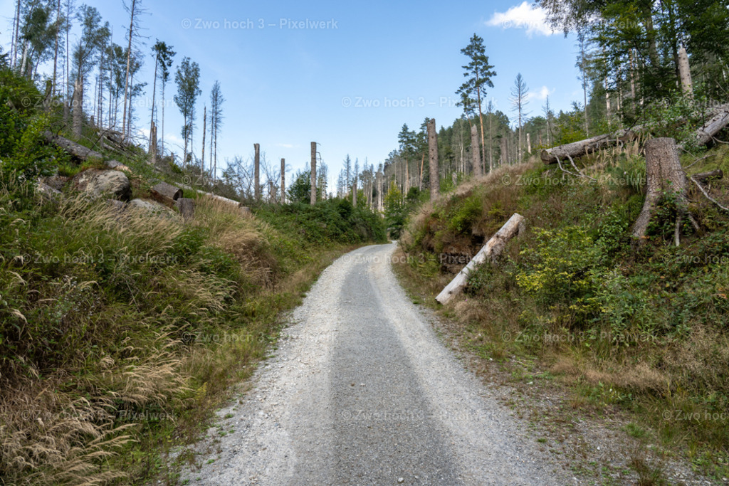 Fluegel_E_Kanschluechte_Zeughausstrasse_Waldsterben_Weg | 2022-08-30_Waldbrandgebiete_1 - Realisiert mit Pictrs.com