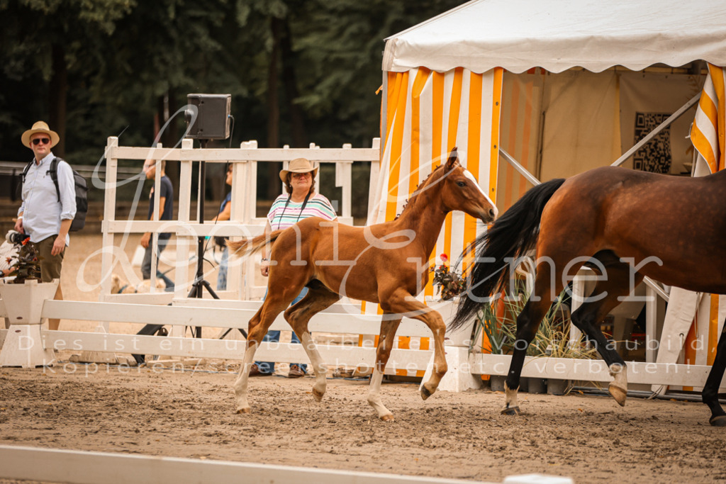 SaPA00272 | Leoni Ertmer Photography - Realisiert mit Pictrs.com