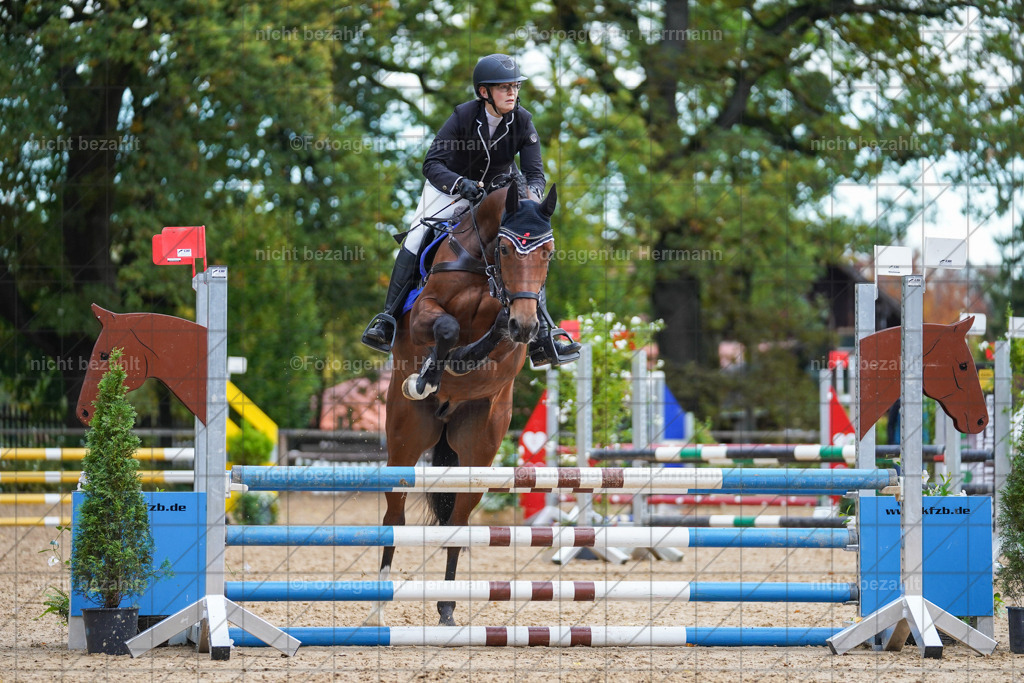 20221009-FAH08300 | Diessen am Ammersee, 2022, Dressur- und Springturnier, Reitsportbilder, Turnierfotografen Bayern, Pferdefotografen, Fotoagentur Herrmann, Turnierbilder
