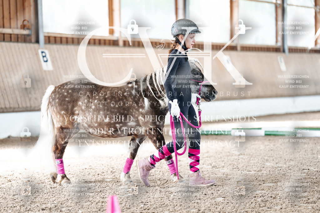 CK905325 | Turnierfotografie Pferdefotografie Trier Rheinland-Pfalz Pferdesport Reitsport Tierfotografie Sportfotografie Pferdevideo Pferdevideografie Equestrianvideography equestrianphotography  - Realisiert mit Pictrs.com