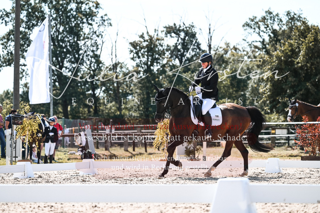 DSC_5016 | Pferde- und Turnierfotografie in Westsachsen. Pferdeportraits, Auftragszeichnungen und intuitive Kunst.
