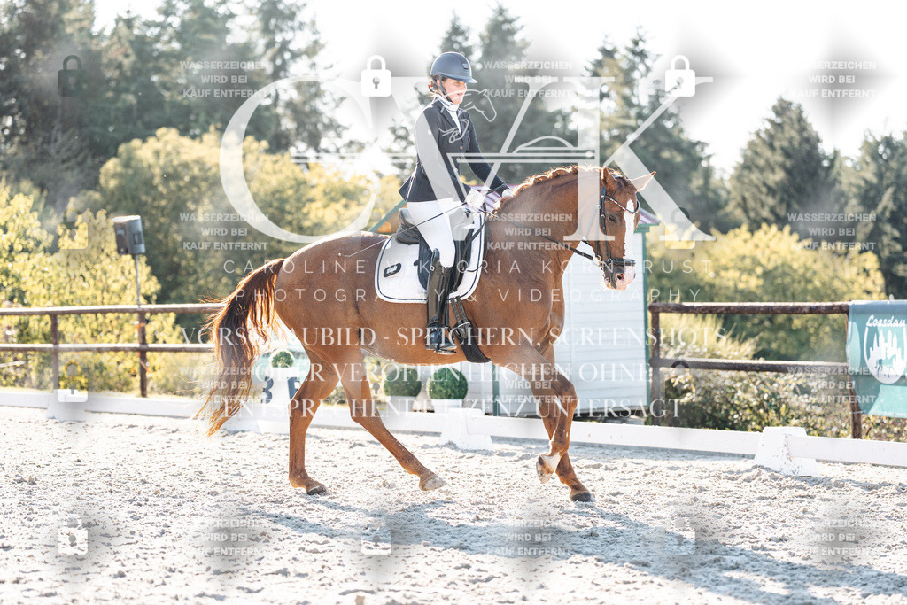 CK906989 | Turnierfotografie Pferdefotografie Trier Rheinland-Pfalz Pferdesport Reitsport Tierfotografie Sportfotografie Pferdevideo Pferdevideografie Equestrianvideography equestrianphotography  - Realisiert mit Pictrs.com