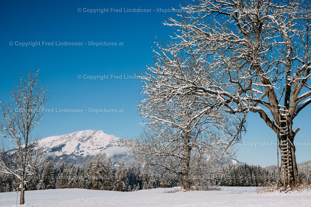 Winterlandschaft Mariazellerland 11122020-0147 | Fotos und Fotoprodukte - Realisiert mit Pictrs.com