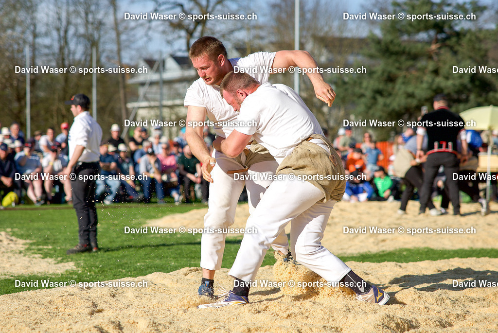 15. Surentaler Frühjahrsschwinget Sursee_ 05.04.2025 | sports-suisse.ch