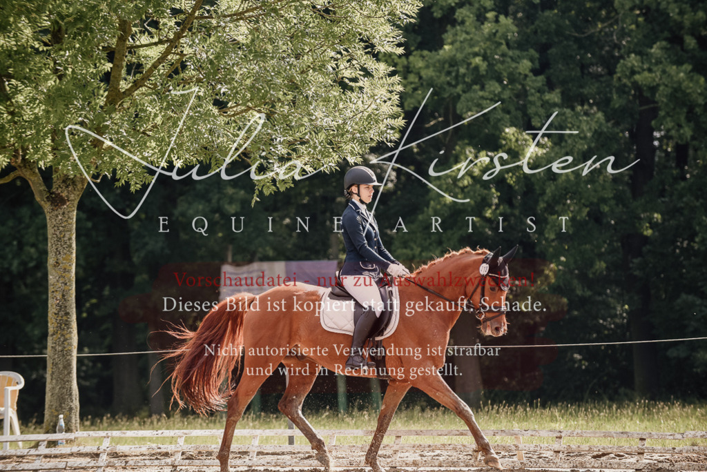 DSC_8940 | Pferde- und Turnierfotografie in Westsachsen. Pferdeportraits, Auftragszeichnungen und intuitive Kunst.