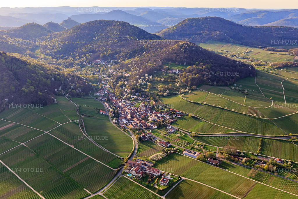 Luftbild: Weinort am Haardtrand aus Südosten im Frühjahr in Leinsweiler im Bundesland Rheinland-Pfalz in Deutschland. Foto: IMG_106564.jpg vom 17.04.2018 durch Werner Riehm/FLY-FOTO.de