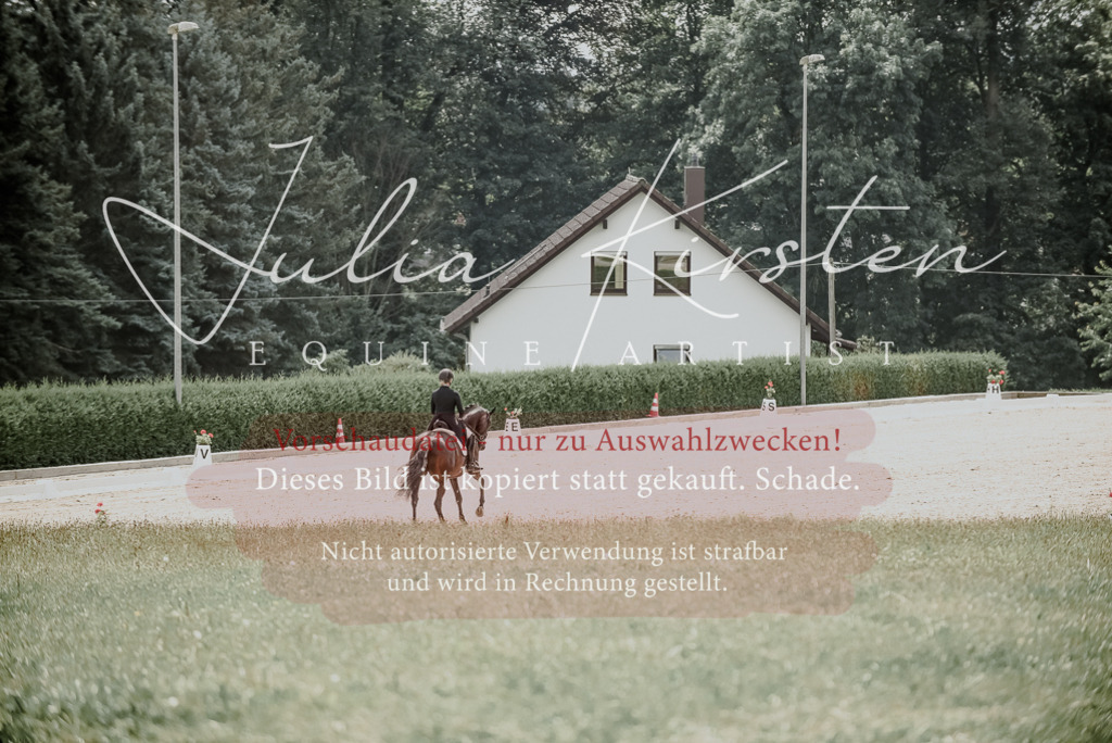 DSC_4273 | Pferde- und Turnierfotografie in Westsachsen. Pferdeportraits, Auftragszeichnungen und intuitive Kunst.