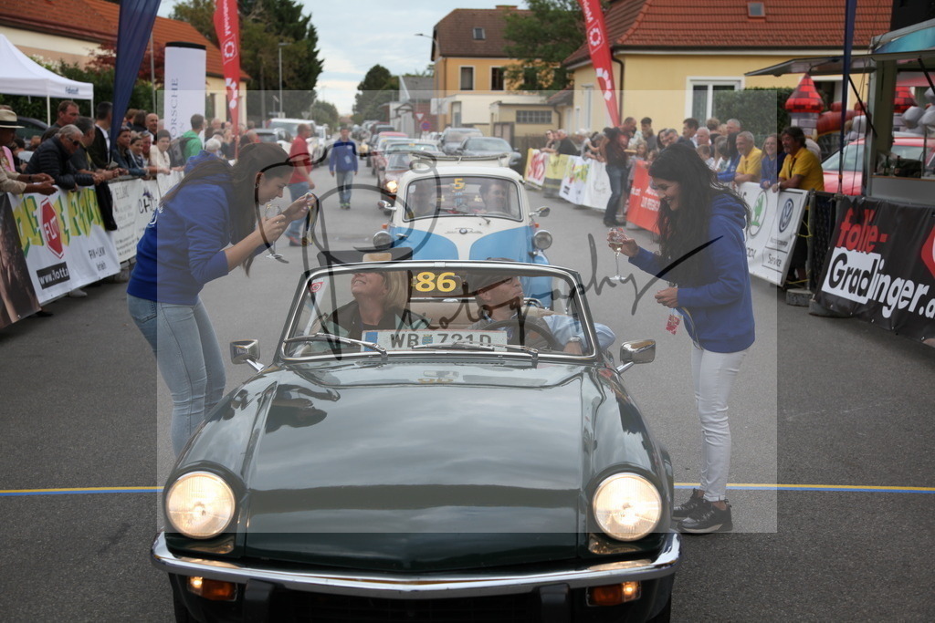 IMG_6528 | Gerhard Witt