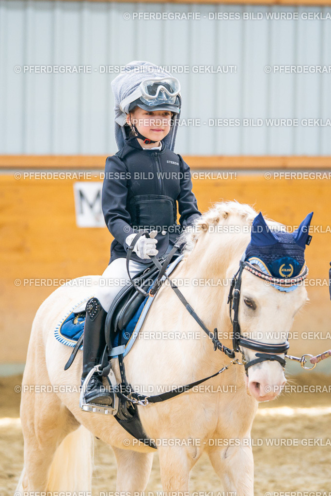 DSC00485 | Pferdegrafie