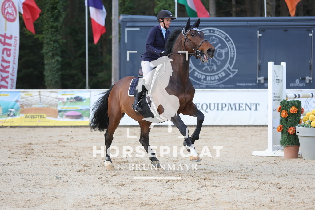 0P6A2885 | Willkommen bei Brunnmayr - Design & Fotografie – Ihrem Spezialisten für Reitturniere und Pferdeveranstaltungen in Oberösterreich, Salzburg und Bayern! Seit über 17 Jahren sind wir leidenschaftlich dabei.