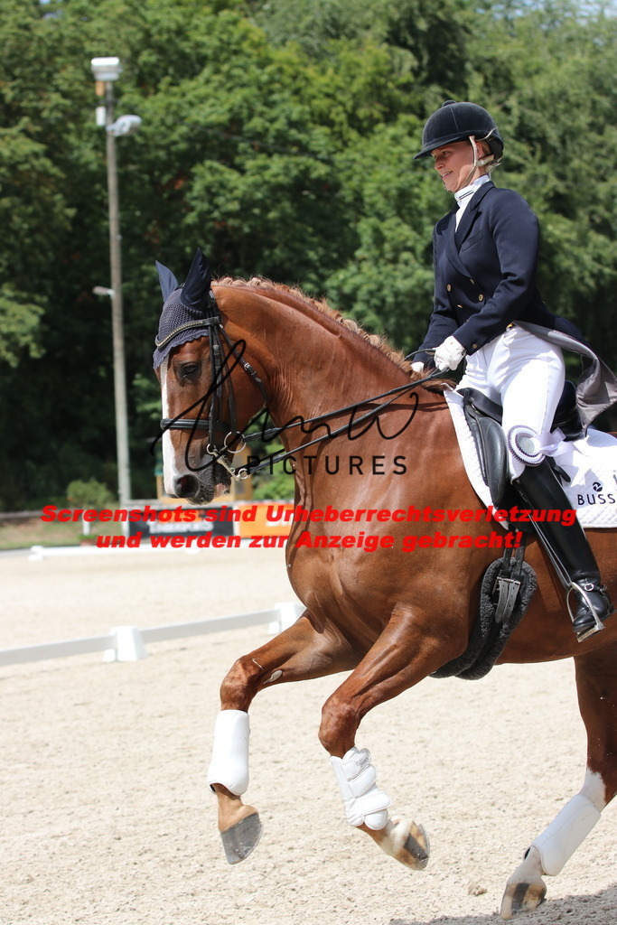 IMG_2028 | lmwpictures - Realisiert mit Pictrs.com