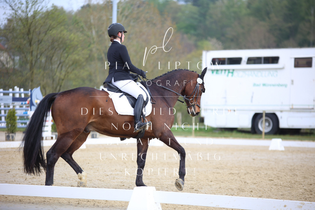 IMGT6573 | pl-fotografie