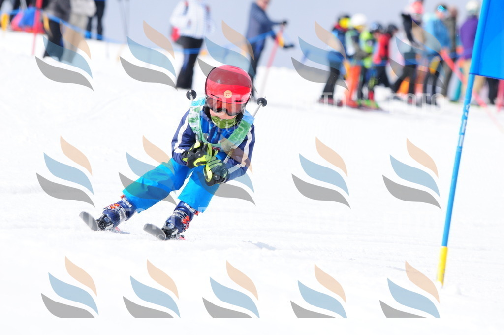 A3716 | holidayphoto