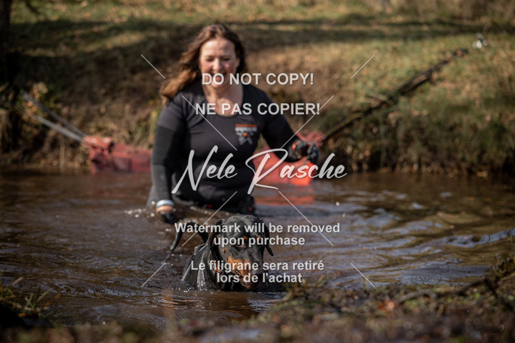 nelerasche_FS1330-1400_285 | nelerasche