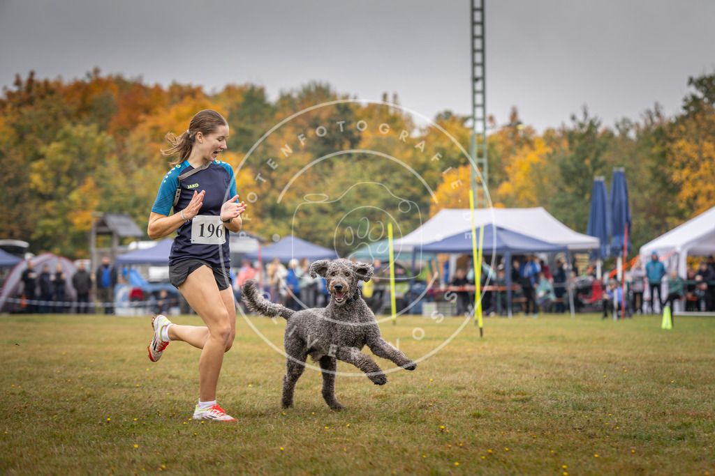 Pfotenfotografie_DV3A1075 | Hundefotografie, Tierfotograf, Pfotenfotografie, Fotoshooting Hund, Hunde Portrait, Hundesport, Hundeportraits, Heideshooting, Hunde, Sportfotograf, Hundefotograf, Turnierhundsport, THS,  - Realisiert mit Pictrs.com