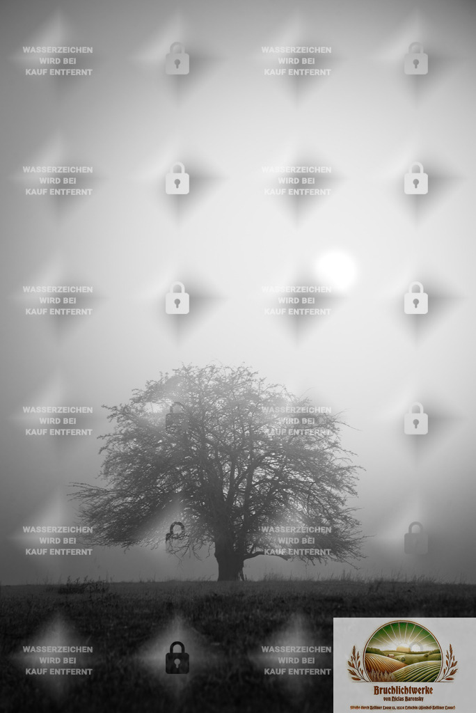 Mystisch IV | Professioneller Fotograf mit 10 Jahren Erfahrung. Landschafts- und Hochzeitsfotografie im Oderbruch. Workshops und beeindruckende Bilder für besondere Momente.