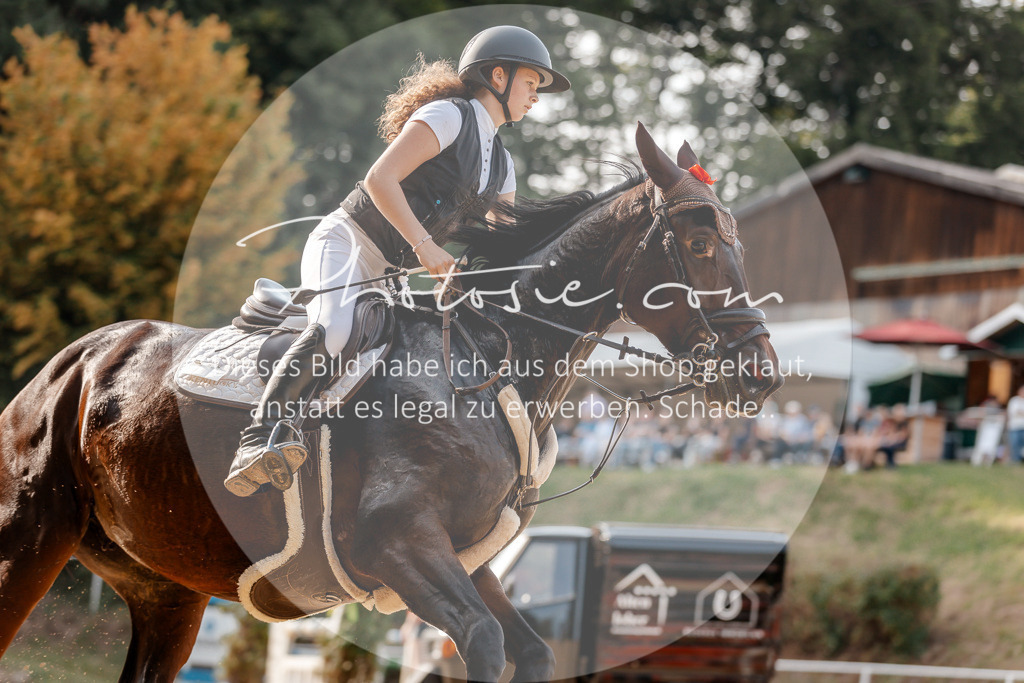 3I6A4855 | Stimmungsvolle Portraits und Reitsportfotografie im Ruhrgebiet und im Münsterland.

Pferdefotografie, Hundefotografie, Tierfotografie, Reportagen, Portraits von Tier und Mensch, Turnierfotografie in Bochum, Recklinghausen, Marl, Haltern am See, Dülmen.. - Realisiert mit Pictrs.com