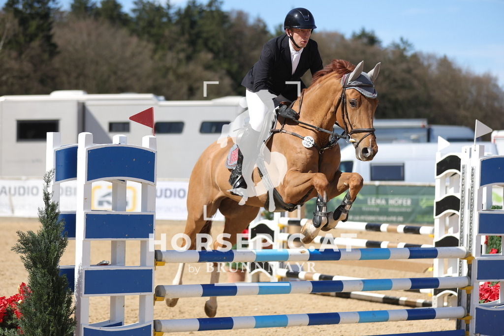 0P6A7617 | Willkommen bei Brunnmayr - Design & Fotografie – Ihrem Spezialisten für Reitturniere und Pferdeveranstaltungen in Oberösterreich, Salzburg und Bayern! Seit über 17 Jahren sind wir leidenschaftlich dabei.