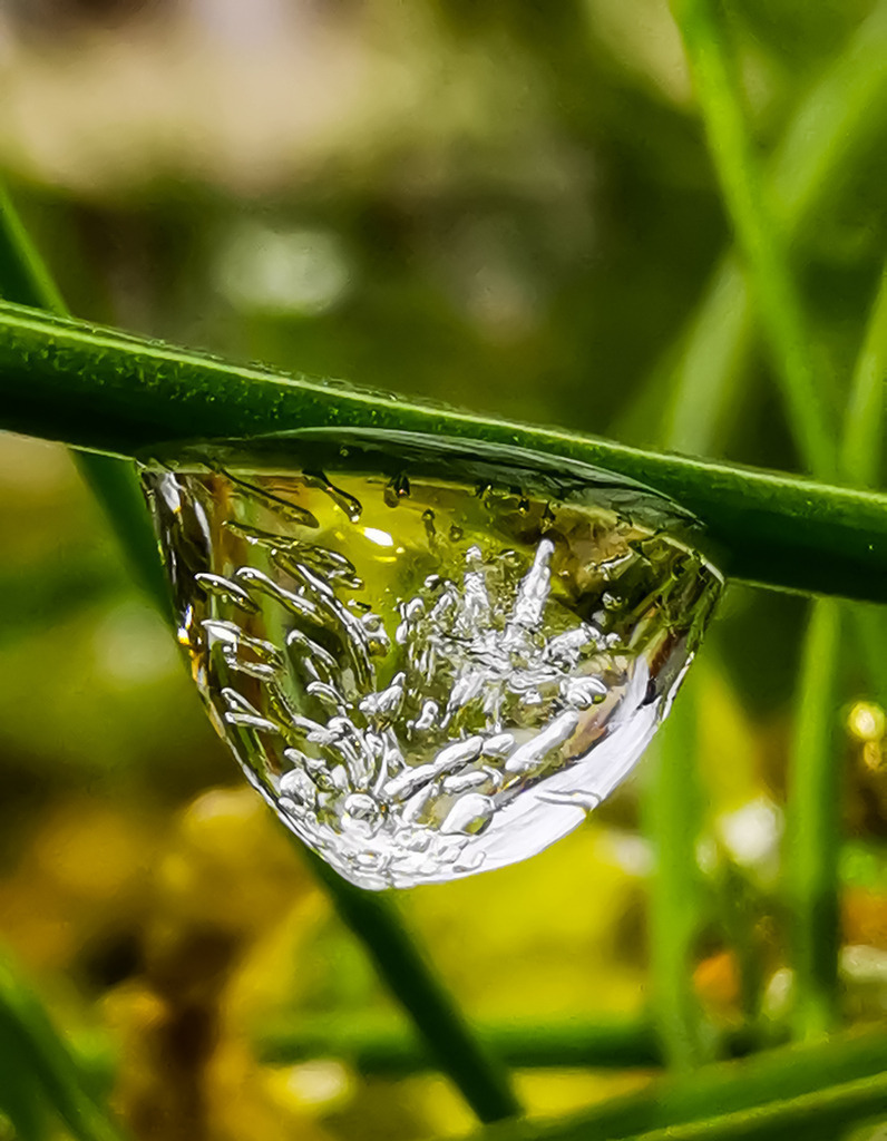 PSX_20230404_225427 | mtkfoto_ - Realisiert mit Pictrs.com