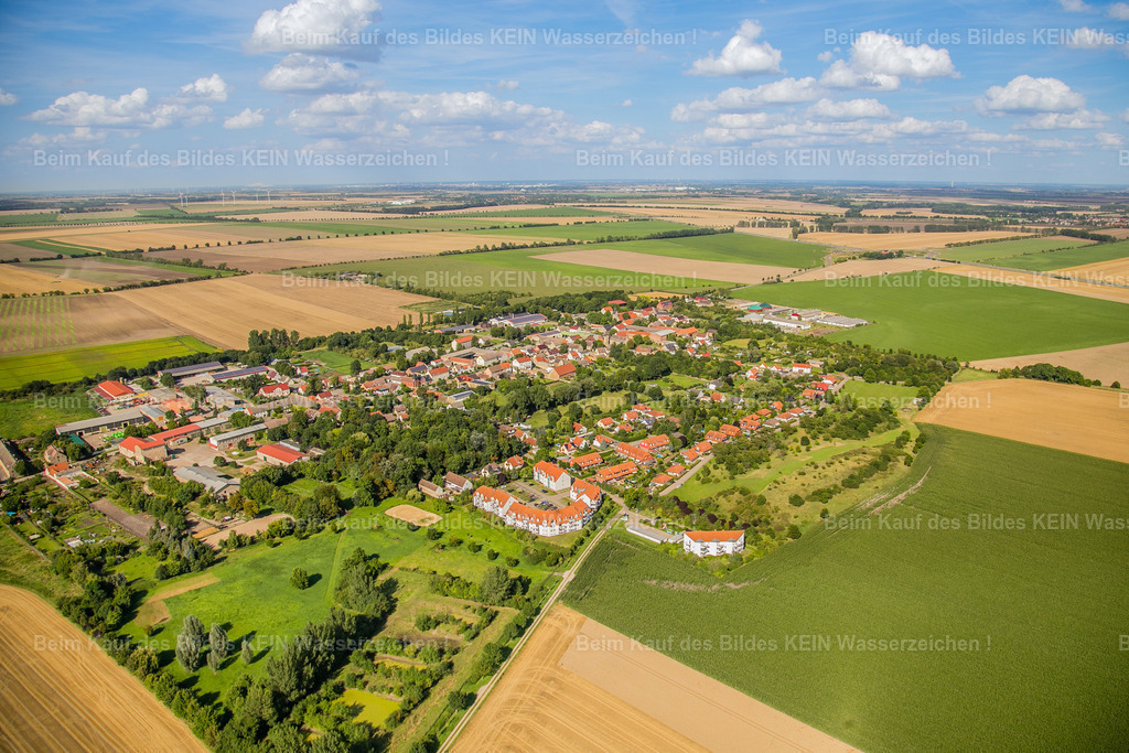 sülztetal-2554 | Sülzetal - Realisiert mit Pictrs.com